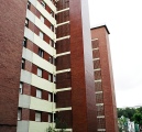 CLICK for pictures